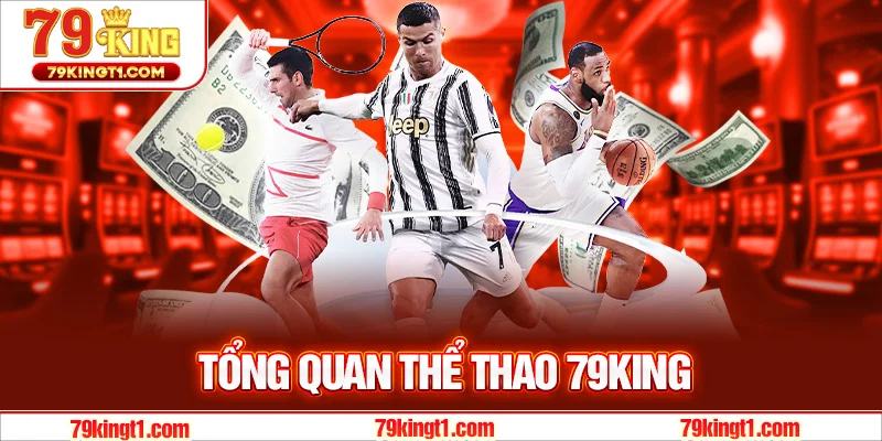 Giới thiệu tổng quan về thể thao 79KING