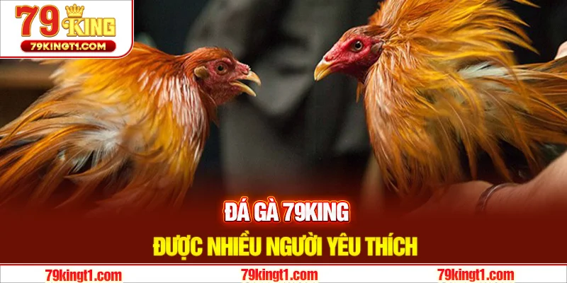 Tại sao đá gà 79KING lại thu hút người chơi