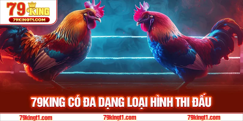 Các loại hình đá gà tại 79KING