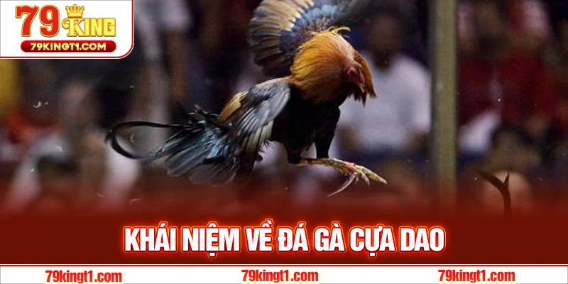 Đá gà cựa dao là gì