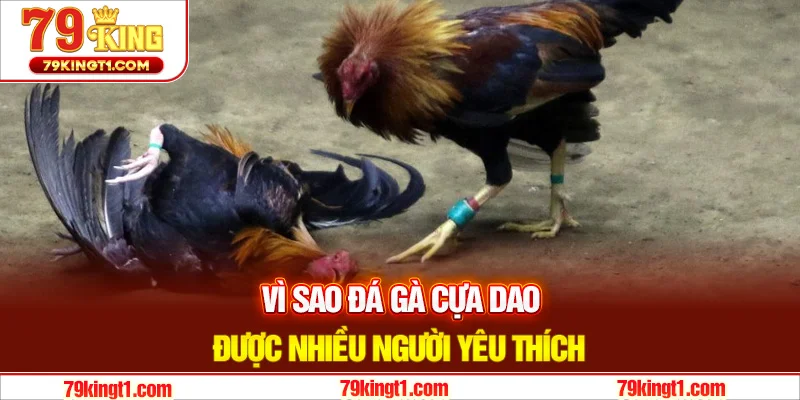 Lý do bộ môn này được nhiều người yêu thích