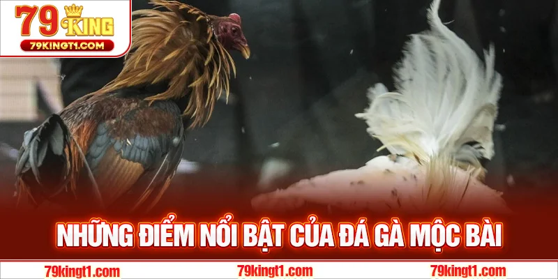 Những ưu điểm nổi bật của đá gà mộc bài